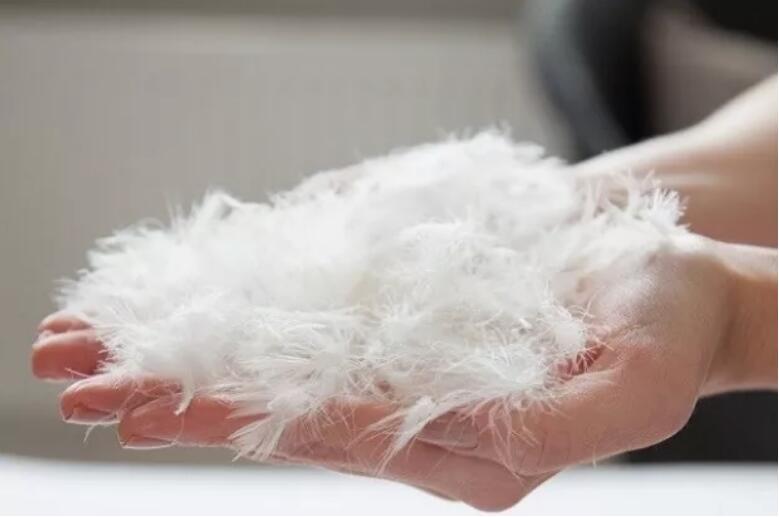 上万元的羽绒服,上万元一只的柯尔鸭凭啥这么贵