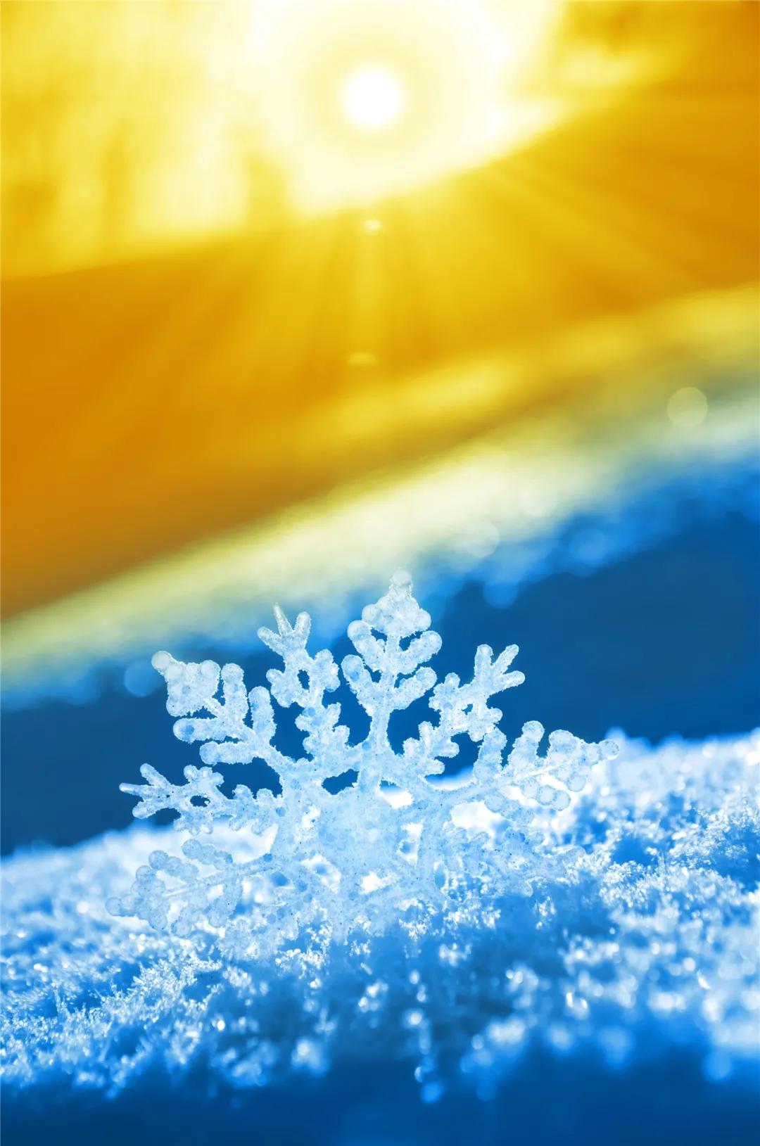 烈日炎炎谨防中暑,烈日骄阳防晒效果怎么样