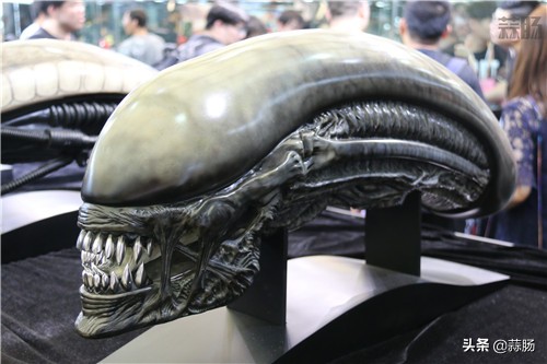 wf手办展飞天,wf上海限定手办