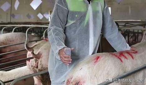 输精治疗的最好方法,输精管堵塞还有精子排出不