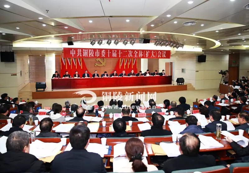 铜陵市委三次全会,铜陵市市委常委会何时召开