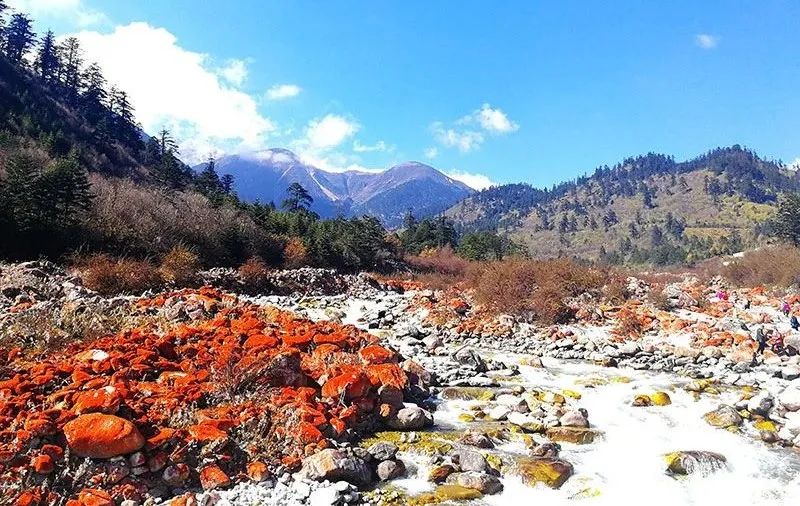 如果你想远离城市的喧嚣,冬天值得去的川西