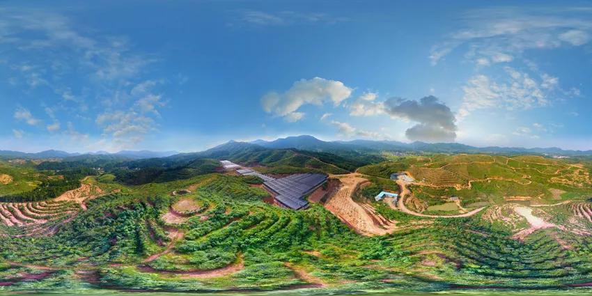 出口迪拜的猕猴桃,猕猴桃出口