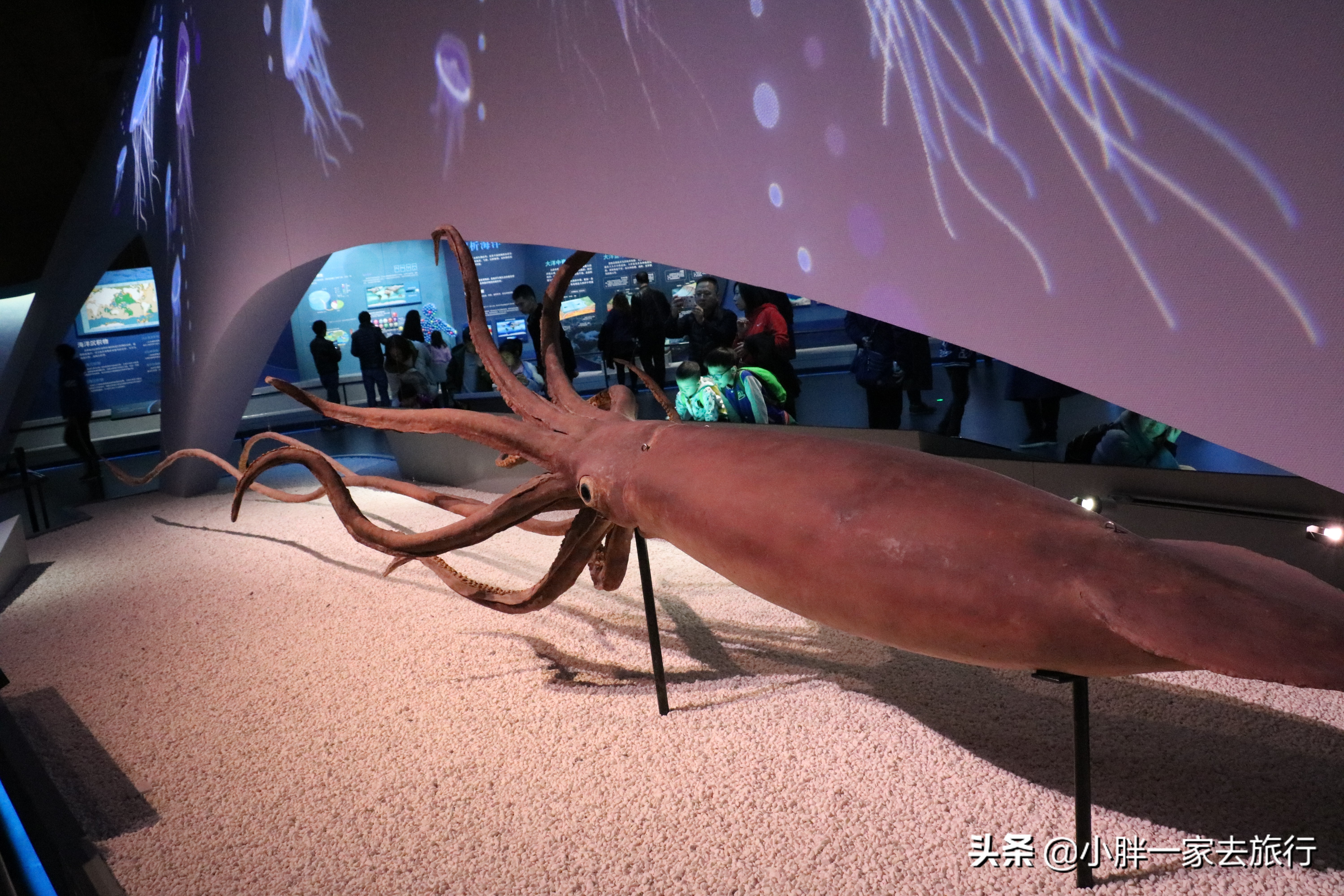 最大的北京海洋博物馆,海上故宫国家海洋博物馆