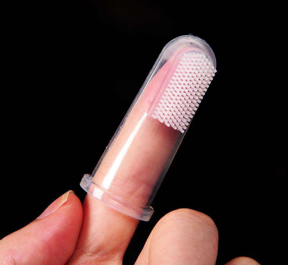 猫有口腔溃疡吗,猫有口腔炎症时间长了会死吗