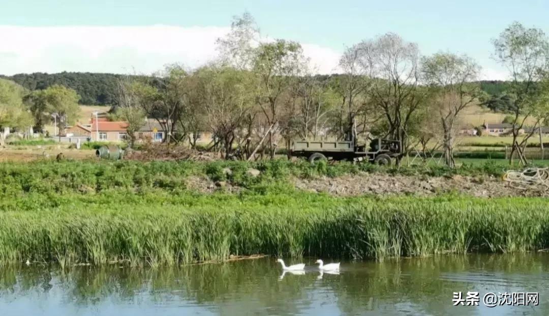 沈阳附近民宿小院,沈阳农村民宿独门独院价格
