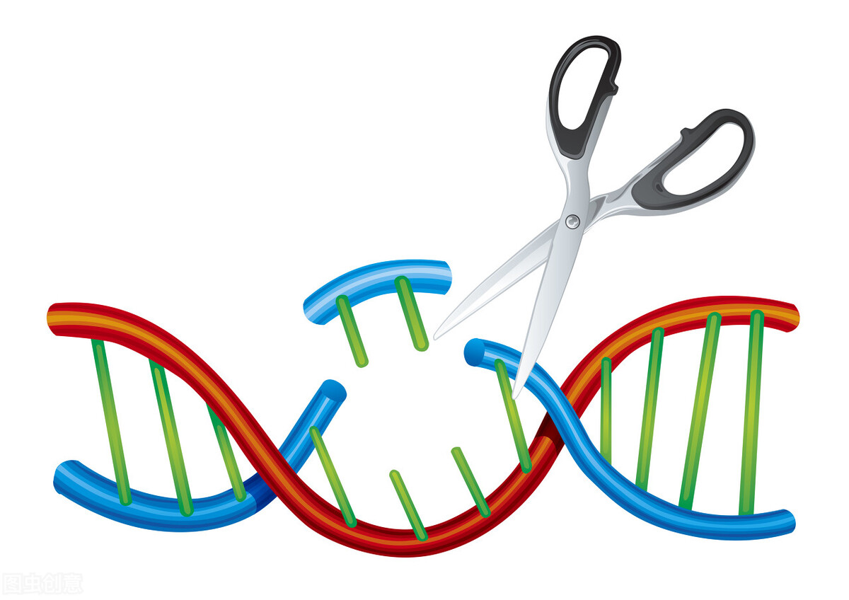 多少年轻人被“习惯性焦虑”拖垮!4个方法让你成为“心大”的人