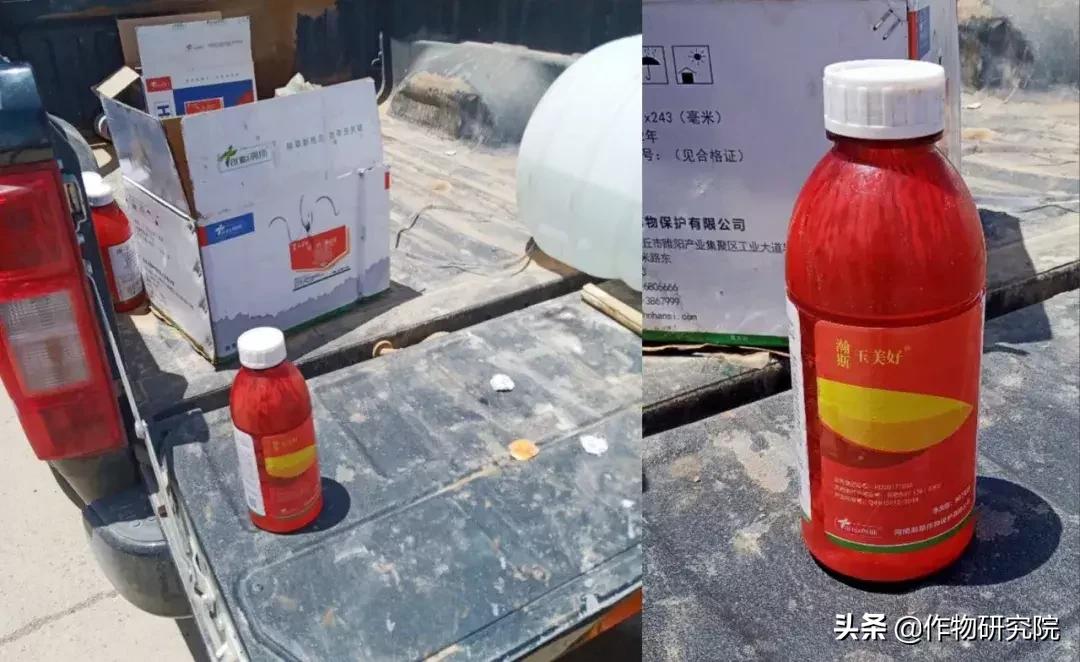 飞防高浓度,飞防7天效果