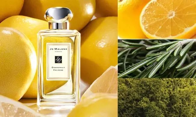 祖马龙香水5件套测评,祖玛珑香水哪个系列最好