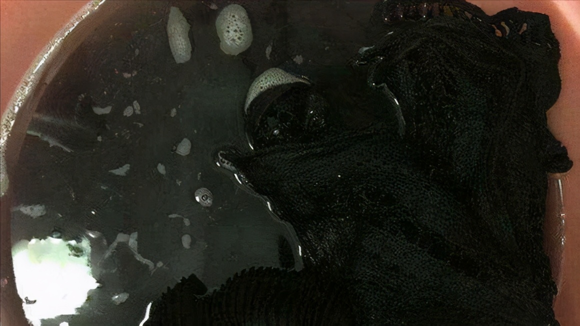 黑色衣服穿久了怎么恢复原色,黑色衣服久了发亮怎么清洗