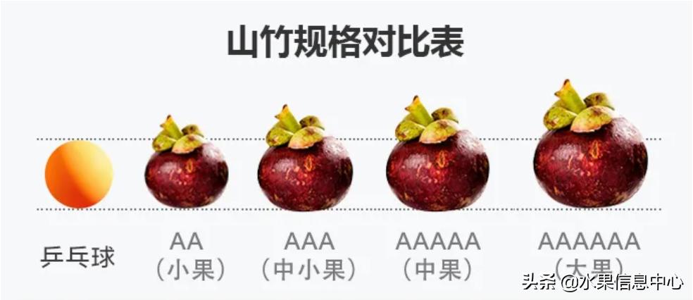 水果批发市场卖水果怎么收费,新手去水果批发市场的几大技巧