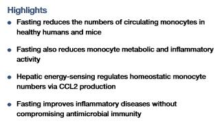 细胞饥饿疗法,细胞饥饿对细胞周期的影响