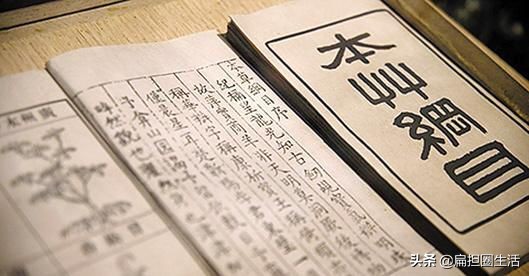 探访李时珍的医学智慧与传世经典,李时珍神医传奇给我们的启发