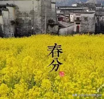 农事节气谚语,农事歌大全