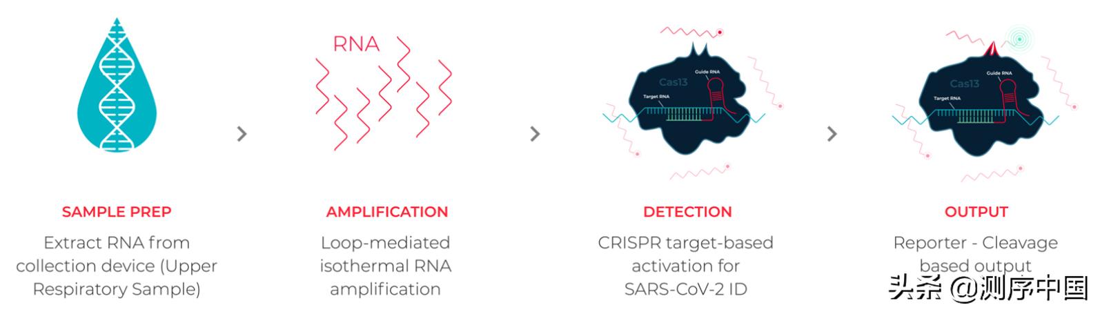 新冠病毒实时数据小程序,sherlock新冠病毒检测系统