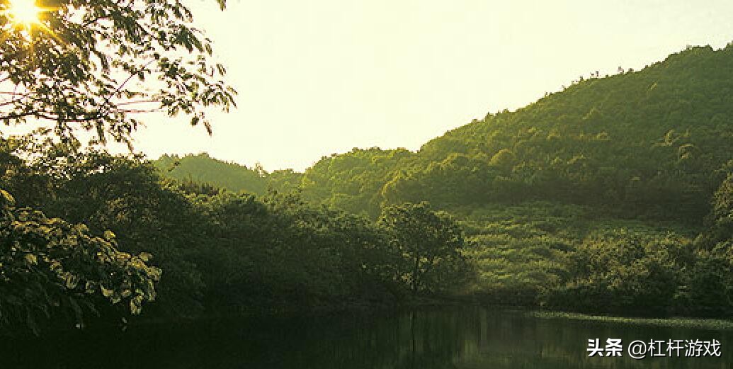 “51”遭调查背后:江浙大佬新湖中宝,地产玩不过金融?