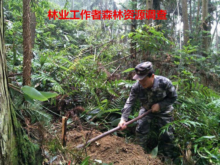 林业礼赞——世界最后一滴水将是人类的眼泪吗