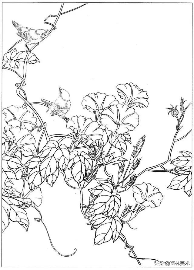 现代国画工笔花鸟白描及完整版,路雨年工笔白描花鸟团扇高清图片