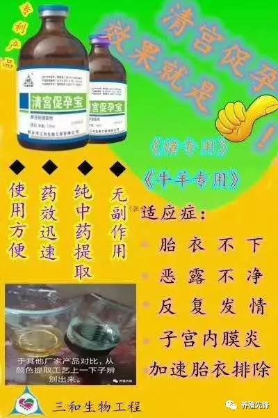 养牛老汉总结的30条养牛经验（1）