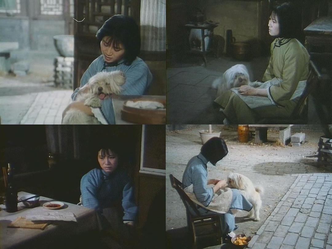 鲁迅《伤逝》涓生和子君，若生活在当今社会，结局会怎样