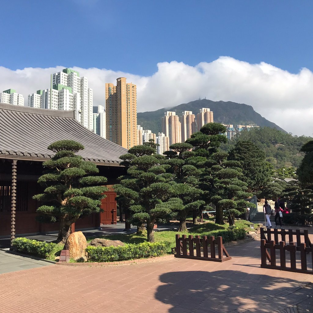 香港志莲净苑地图,香港志莲净苑好玩吗