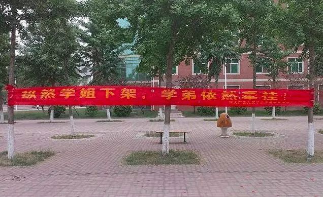 高校走心毕业标语惹哭网友,高校走心毕业季标语惹哭网友