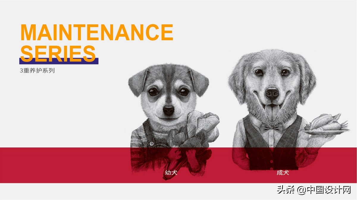 钃濇皬鐚伯鍖呰璁捐,鐚伯鐙楃伯绯诲垪鍖呰璁捐鐞嗗康