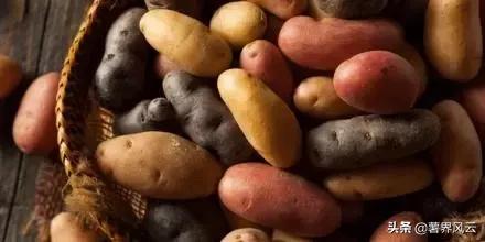 影响马铃薯生长的环境因素是什么,马铃薯的种植对欧洲的影响