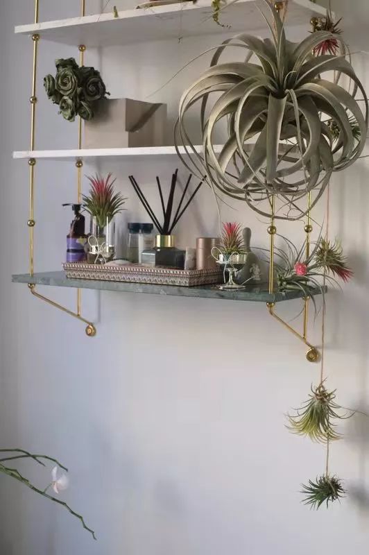 还买乌云壁纸呐?!他家藏着海外小众壁纸大全