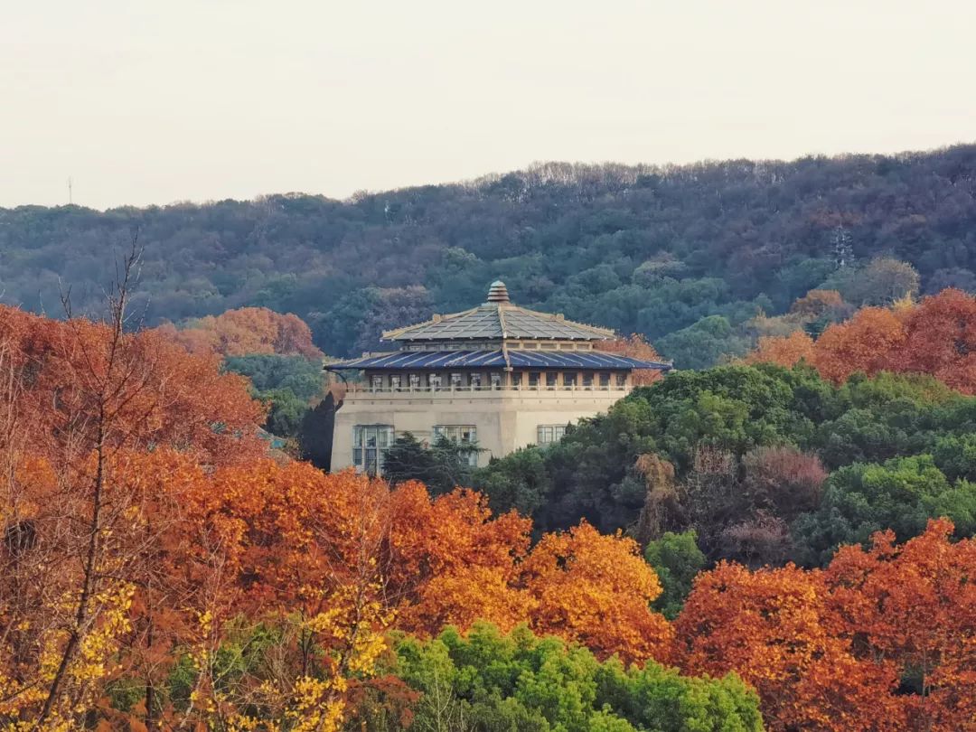 中国最美的大学武汉大学,最美的武汉大学