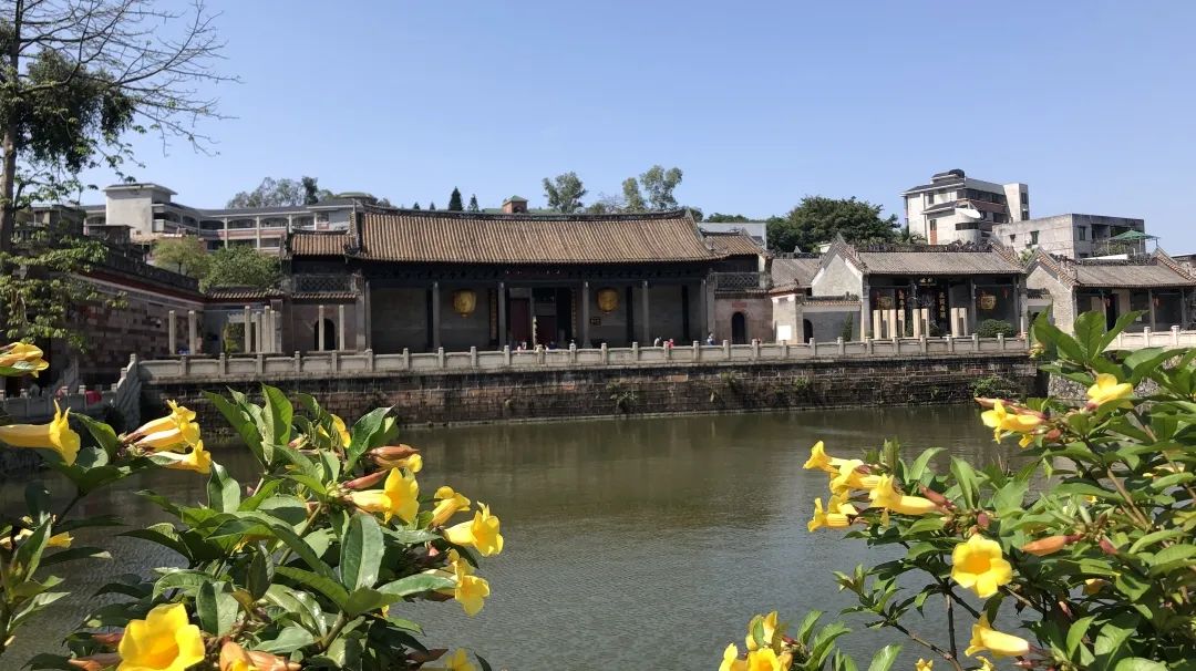 周末广州市内哪个公园最值得去,广州十大避暑旅游景点