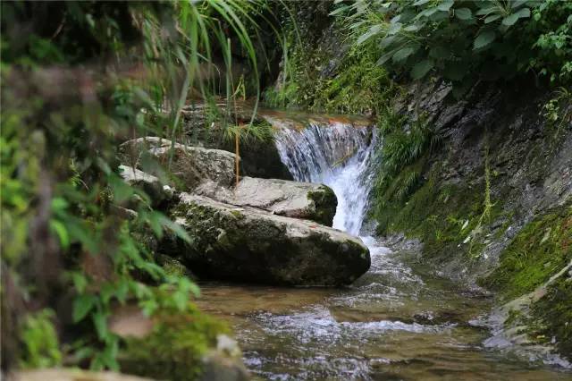 金华小九寨风景区,小九寨原始森林半日游