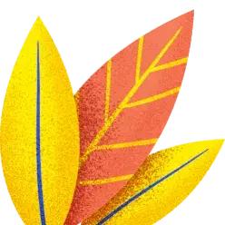 信用卡的种类多该怎么选择呢,大额度信用卡有哪几种