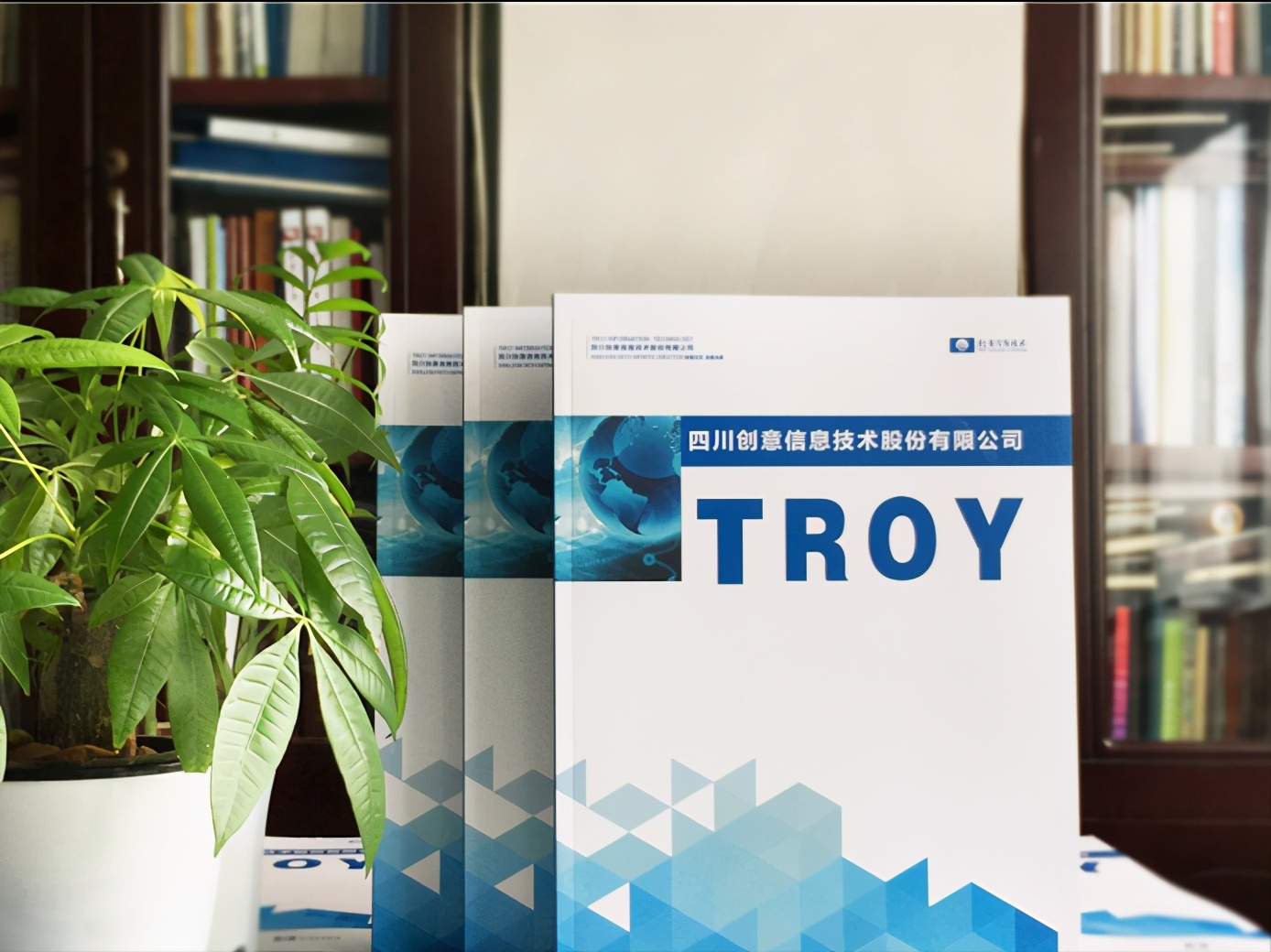 品牌画册设计能带来哪些价值,产品画册设计风格都有什么样的