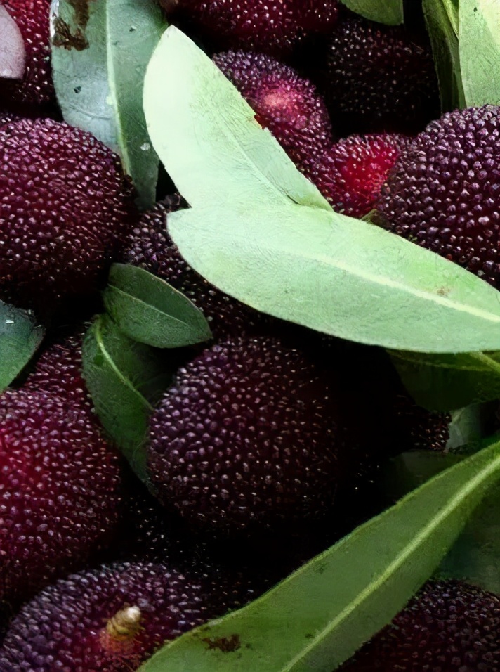 苏州东山西山包吃住农家乐推荐,苏州西山林屋洞附近包吃包住民宿