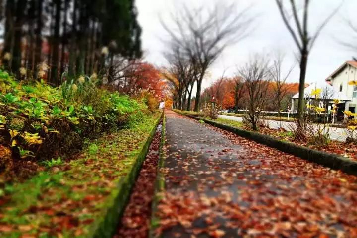 日本乡村田野生活纪录片,日本乡村小镇风景视频