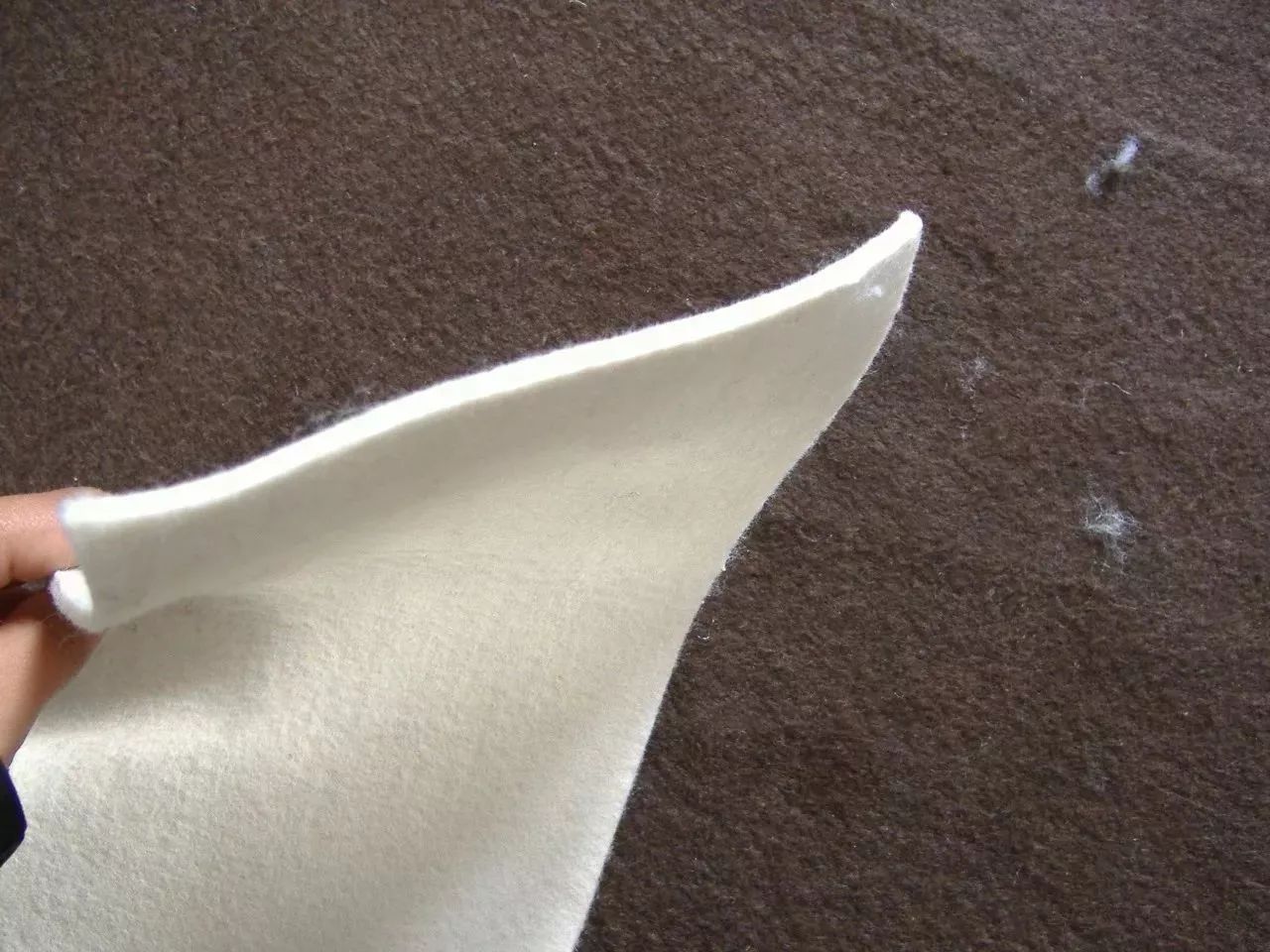 澧ㄥ簞瀹氬埗缇婃瘺澶ц。,澧ㄥ簞鐨崏澶ц。