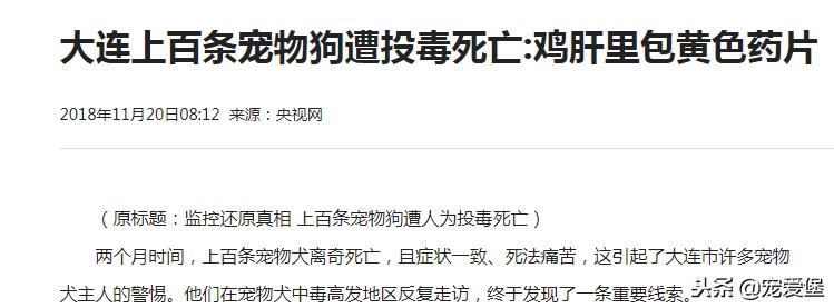 目前狗的市场行情,今年狗的行情怎么样