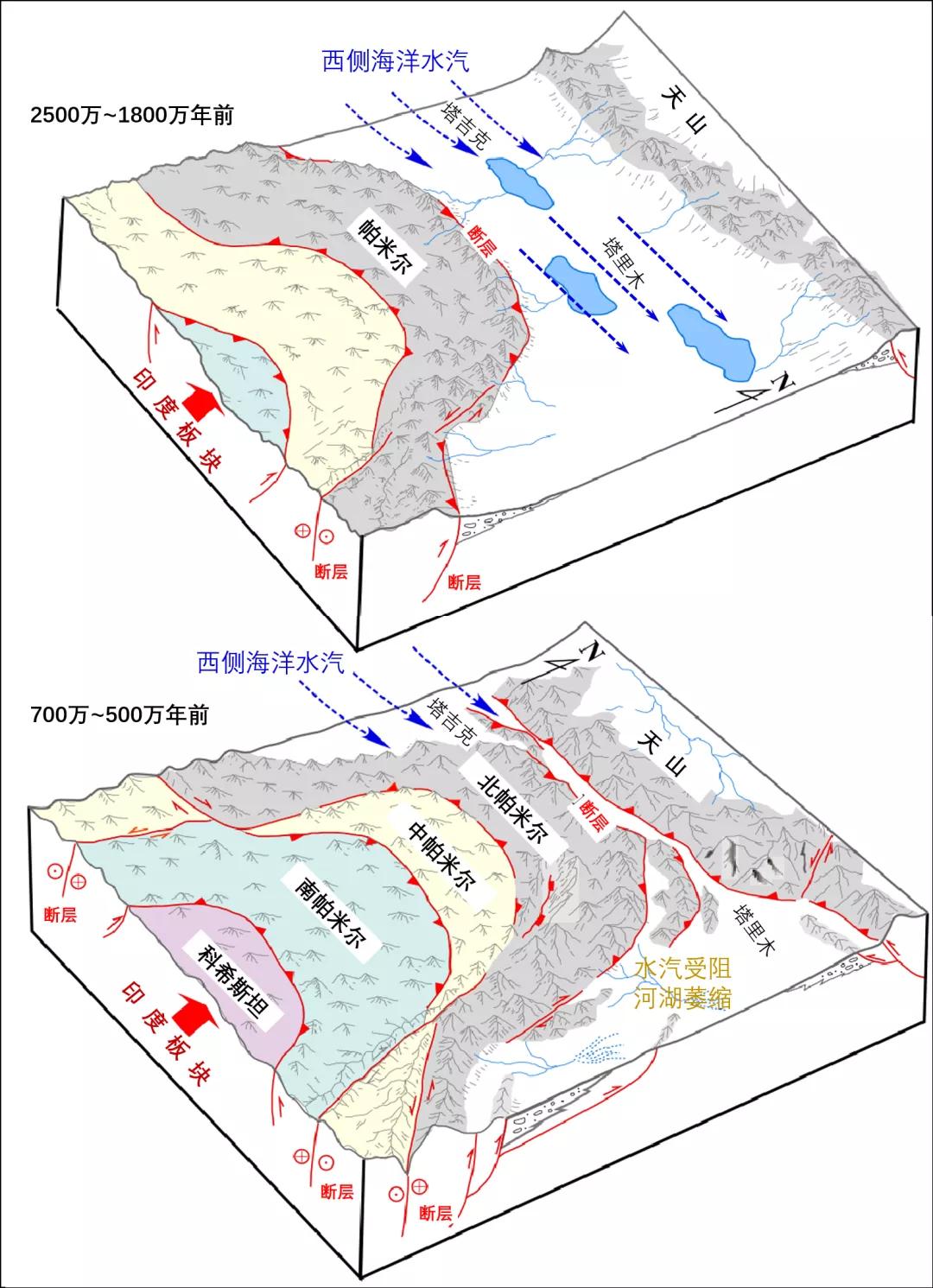 新疆塔里木大沙漠风景,除了沙漠树森林树还有什么