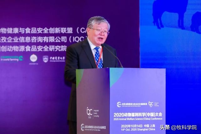 动物福利与健康管理,动物福利的核心