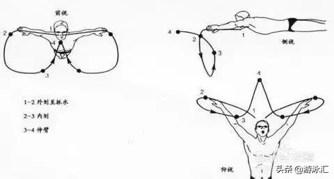 蛙泳呼吸换气技巧,搭头蛙泳的技巧