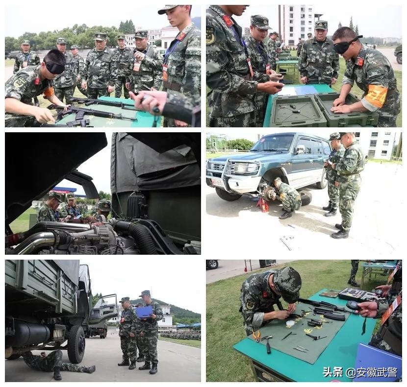 纪实视频,记实记录