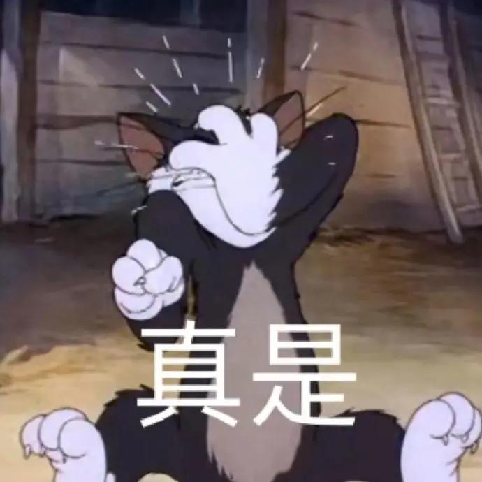 田朴珺万科王石完整版,王石妻子田朴珺