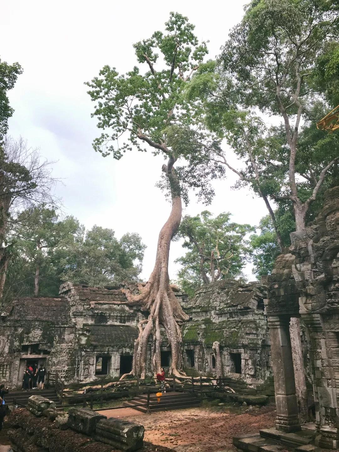 云旅游带你看遍天下美景,一起去旅行吧旅游