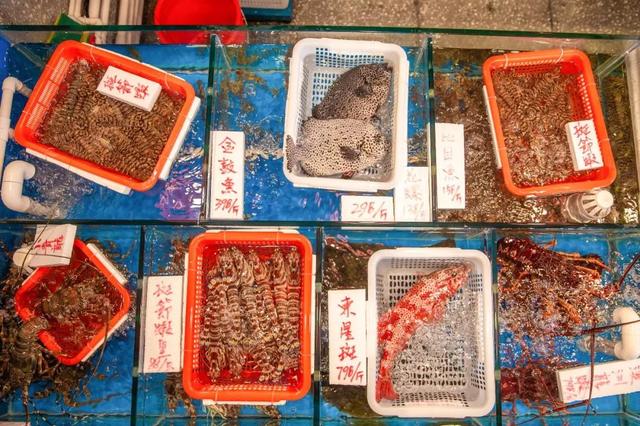 上海沉浸式打边炉,上海顶级打边炉