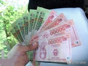 越南旅游区的厕所,越南旅游上厕所要钱吗