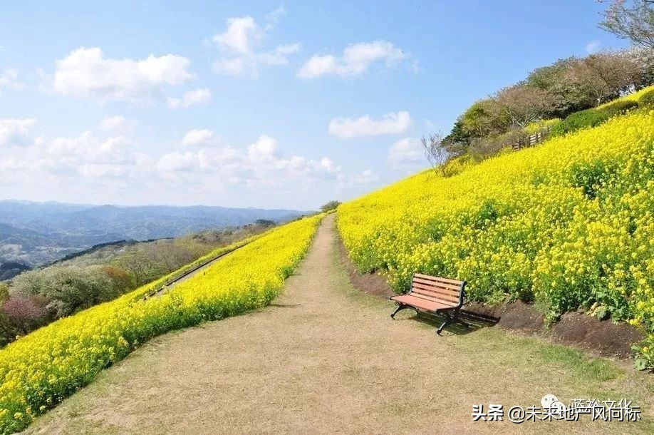 母亲牧场要玩多久,低成本花园家庭农场亲子乐园