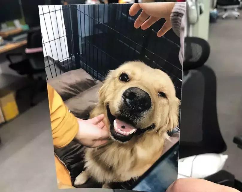 华为和小米打印机哪个好,照片打印机推荐小米还是佳能