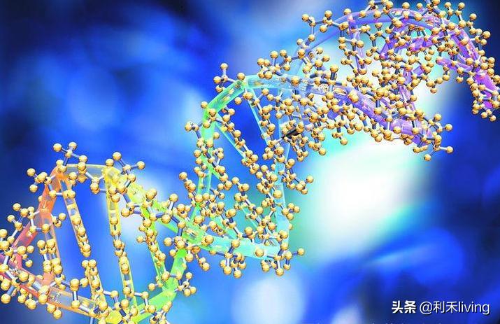 胎盘多肽提高免疫力,多肽增强免疫力效果好吗