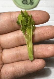 一个90后全职妈妈,一个90后的全职妈妈